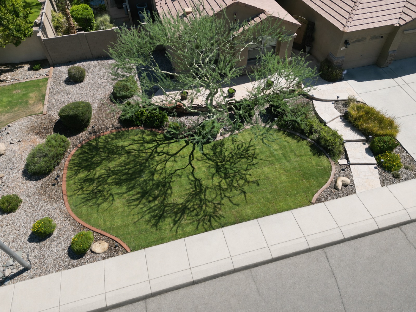 After: same circular bed with thick green sod under the mesquite