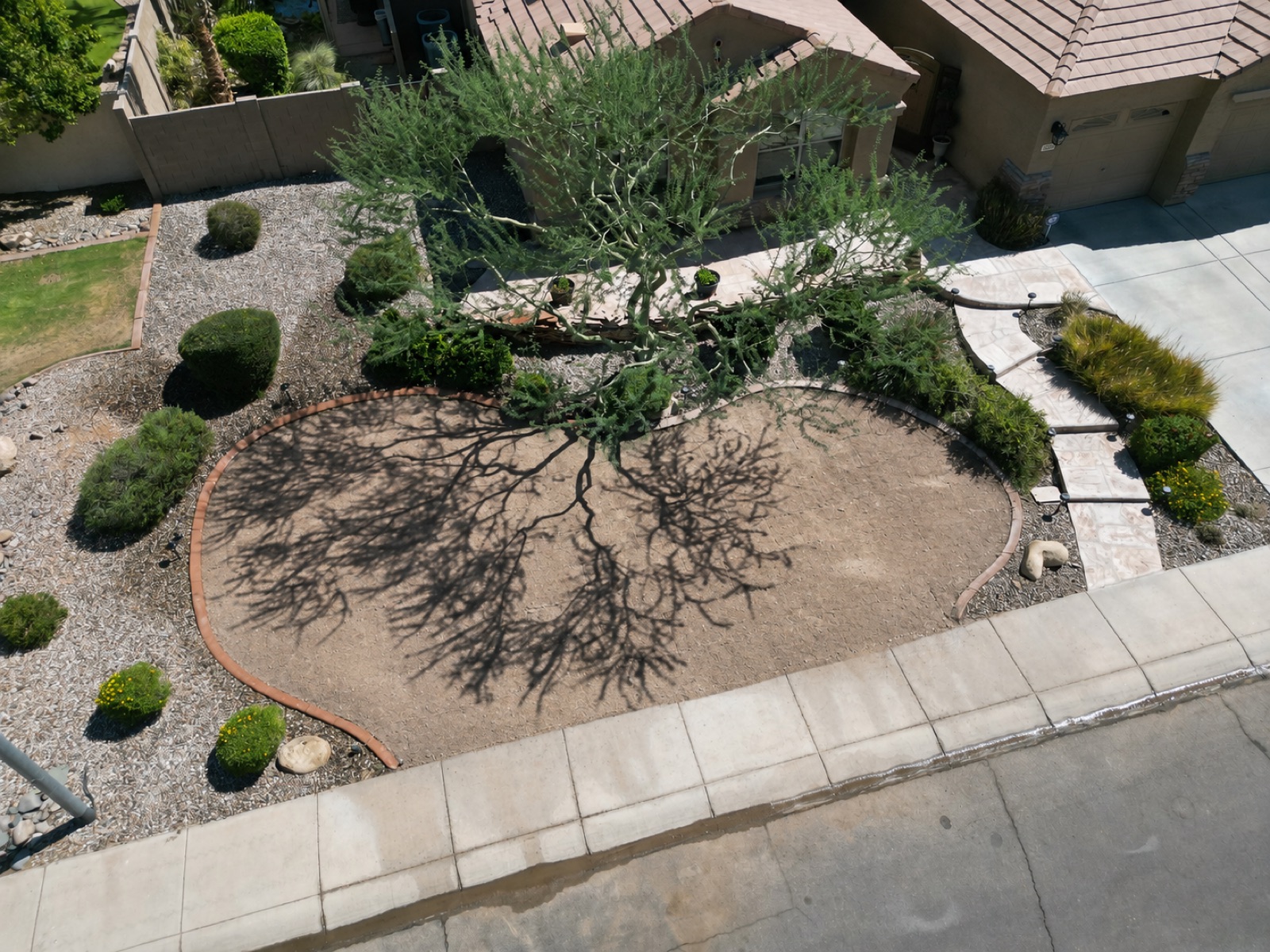Before: circular bed under mesquite tree, bare dirt